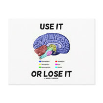 Use It Or Lose It (Brain Anatomy Humour Saying)