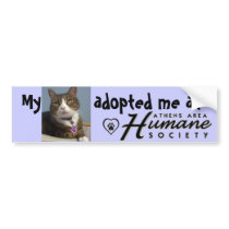 Use your own picture!!! bumper stickers