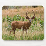 Utah Mule Deer Mousepads
