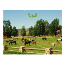 Utah Post Card