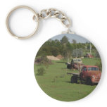 Ute Graveyard Key Chain