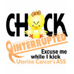 Uterine Cancer Chick Interrupted 2 t-shirts