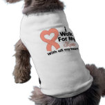 Uterine Cancer I Walk For My Hero pet clothing