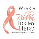 Uterine Cancer I Wear a Ribbon For My Hero t-shirts