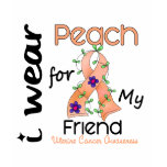 Uterine Cancer I Wear Peach For My Friend 43 t-shirts