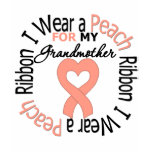 Uterine Cancer I Wear Peach Ribbon For Grandmother t-shirts