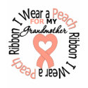 Uterine Cancer I Wear Peach Ribbon For Grandmother t-shirts