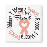 Uterine Cancer I Wear Peach Ribbon For My Friend magnets