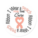 Uterine Cancer I Wear Peach Ribbon For The Cure stickers