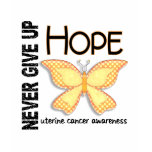 Uterine Cancer Never Give Up Hope Butterfly 4.1 t-shirts