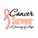 Uterine Cancer Survivor Awareness Journey Ribbon t-shirts