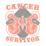 Uterine Cancer Survivor Butterfly t-shirts