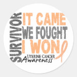 Uterine Cancer Survivor It Came We Fought I Won Sticker