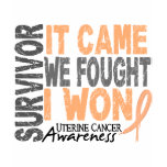 Uterine Cancer Survivor It Came We Fought I Won t-shirts
