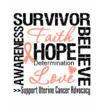 Uterine Cancer Survivors Motto t-shirts