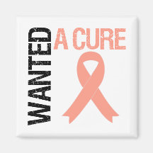 Uterine Cancer Wanted A Cure Magnet
