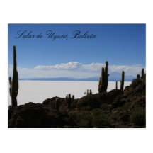 uyuni cacti postcards