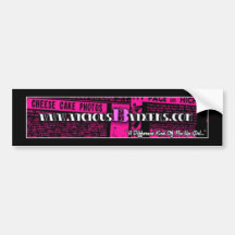 V13V bumper sticker