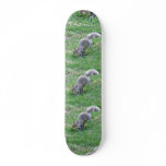 V5- Squirrelly Skateboard