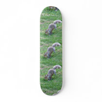 V5- Squirrelly Skateboard