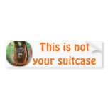 Vacation Suitcase Identification Tags bumper stickers
