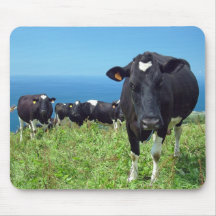 Vache contrariée tapis de souris
