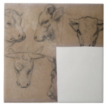 Vache de Cinq Croquis de tete de (crayon sur le pa Carreaux