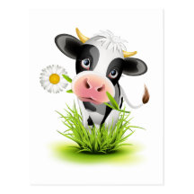 Vache du Holstein dans l'herbe Cartes Postales