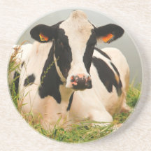 Vache du Holstein Dessous De Verres