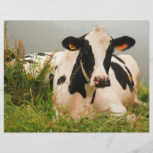 Vache du Holstein Tract Customisé