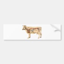 Vache mignonne anatomique adhésif pour voiture