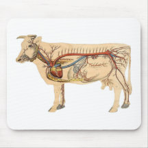 Vache mignonne anatomique tapis de souris