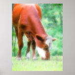 Vache rouge dans le pré vert affiches