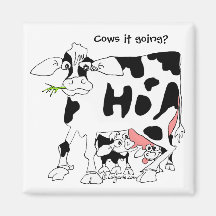 Vaches il allant ? Aimant carré de réfrigérateur