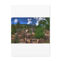 Vail Botanical Garden Postcards