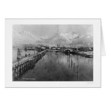 Valdez, Alaska Birdseye 1905 Cards