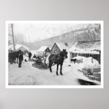 Valdez Trail Horses Alaska 1912 Posters
