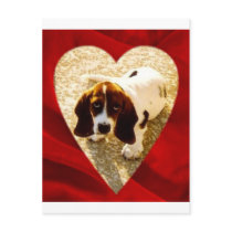Valentine Bassett Hound Postcard