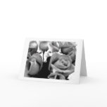 Valentine Black and White Roses cards