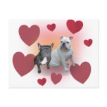 Valentine bulldogs post card