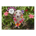 Valentine Card