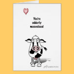Valentine cow cards