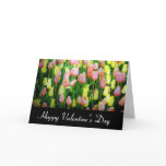 valentine day tulips cards