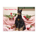 Valentine Dobercard Postcards