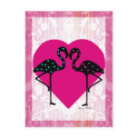 Valentine Flamingos Post Card