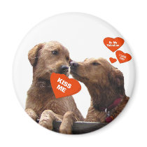 VALENTINE GOLDEN RETRIEVER KISS ME BE MINE MAGNETS