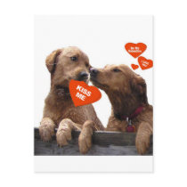 VALENTINE GOLDEN RETRIEVER KISS ME BE MINE POSTCARD
