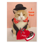 Valentine Kitty Post Card
