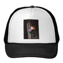Valentine Locks Hats