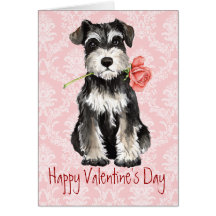 Valentine Rose Miniature Schnauzer Card